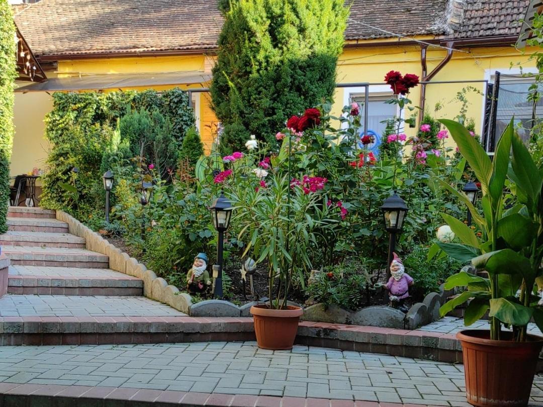 Color Home Hermannstadt Екстериор снимка
